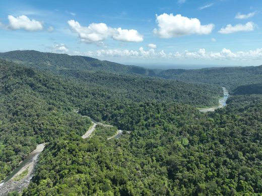 地皮  Siquirres, Provincia de Limón