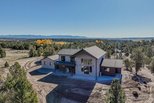 Vrijstaand huis in Durango, La Plata County
