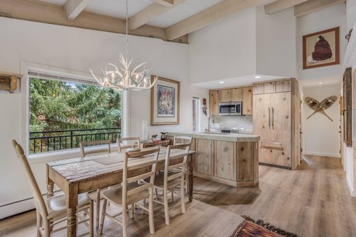 Apartment in Aspen, Pitkin County