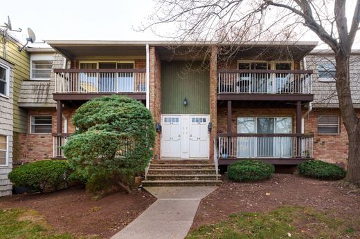 아파트 / Hillsborough, Somerset County