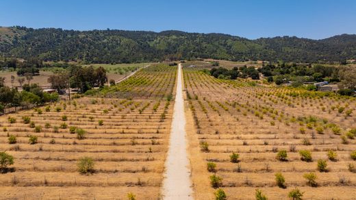 Grundstück in Ojai, Ventura County