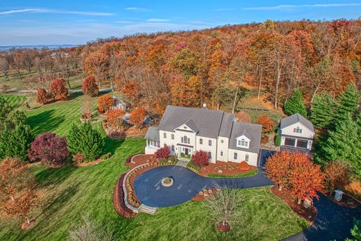 Lisa Thompson | Hunt Country Sotheby's International Realty, Leesburg ... - Luxury Hunt Country Communities