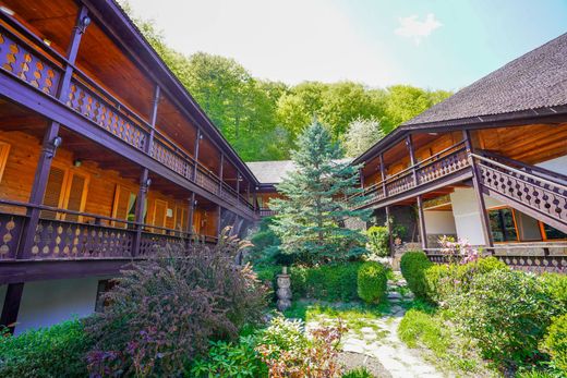 Luxury home in Lepșa, Comuna Tulnici