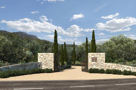 Valldemossa, Illes Balearsの土地