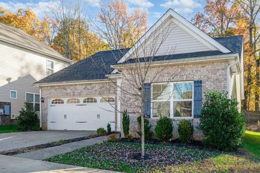 Частный Дом, White House, Sumner County