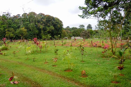 Terreno en Quepos, Provincia de Puntarenas