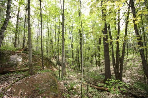 地皮  Severn Falls, Simcoe County