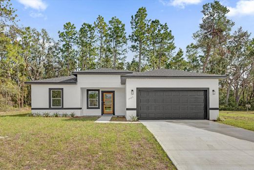 Vrijstaand huis in Ocala Waterway, Marion County