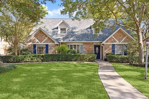 호화 저택 / Nassau Bay, Harris County