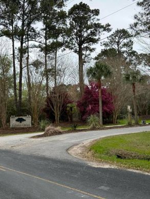 Land in Edisto Island, Charleston County