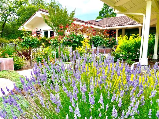 Detached House in Sonoma, Sonoma County