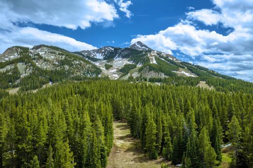 Terreno a Mount Crested Butte, Gunnison County