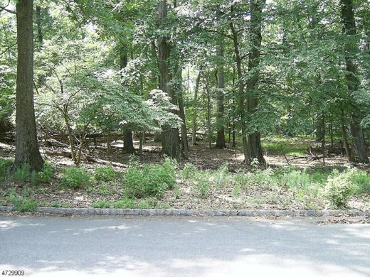 Grond in Green Brook Township, Somerset County