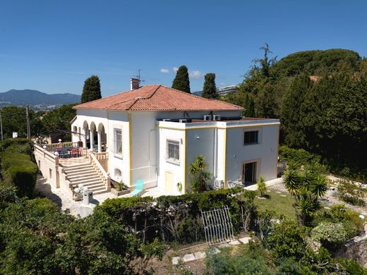 Villa a Cannes, Alpi Marittime