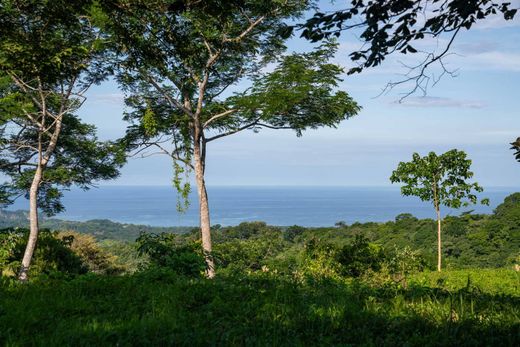 Terreno en Nosara, Nicoya