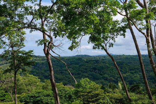 Teren w Marbella, Santa Cruz