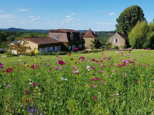 Casa Unifamiliare a Siorac-en-Périgord, Dordogna