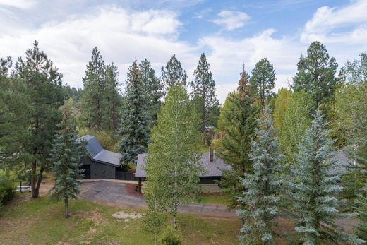 Einfamilienhaus in Hesperus, La Plata County