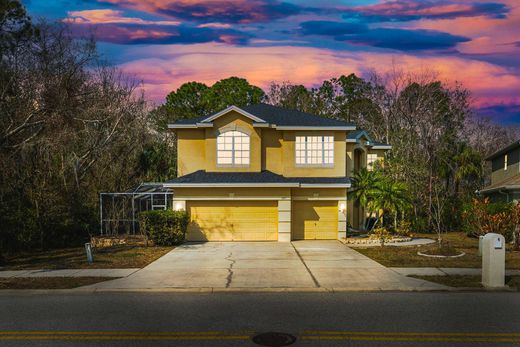 Casa Unifamiliare a Oldsmar, Pinellas County