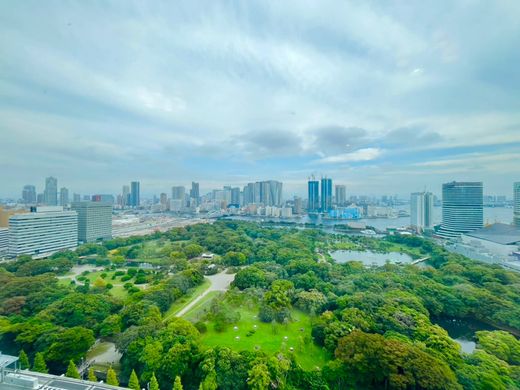 Apartment / Etagenwohnung in Minato, Tokyo Prefecture