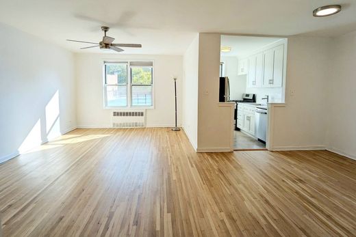 Lüks ev Brooklyn, Kings County