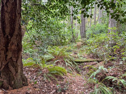 Detached House in Bainbridge Island, Kitsap County