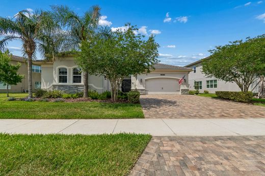 Detached House in Wesley Chapel, Pasco County