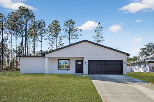 Einfamilienhaus in Citrus Springs, Citrus County