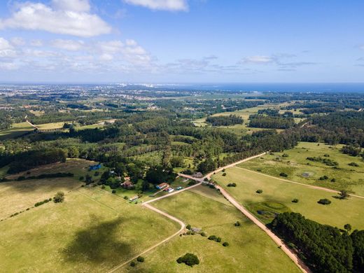 Country House in Punta Ballena, Maldonado