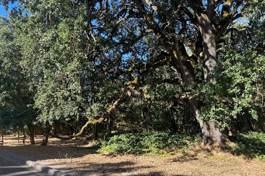 地皮  Sonoma, Sonoma County