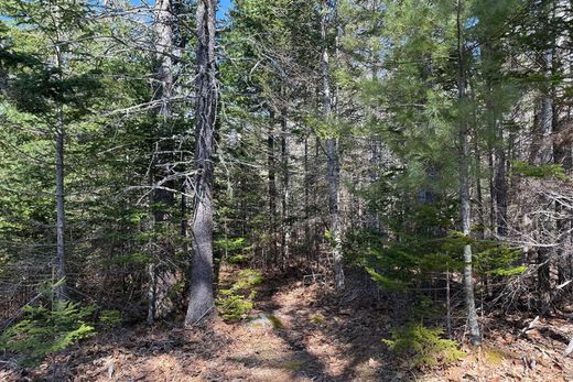Land in Mount Desert, Hancock County