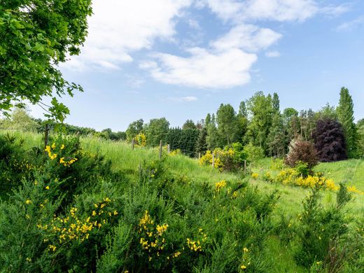 Detached House in Lasne, Walloon Brabant Province