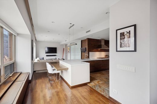 Luxury home in Chicago, Cook County