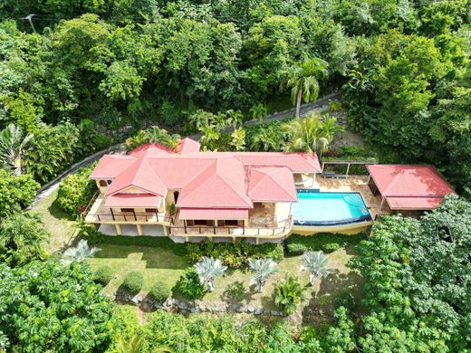 独立式房屋  Shannon