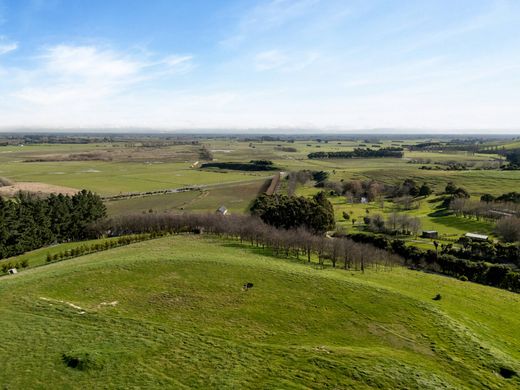 Teren w Christchurch, Christchurch City