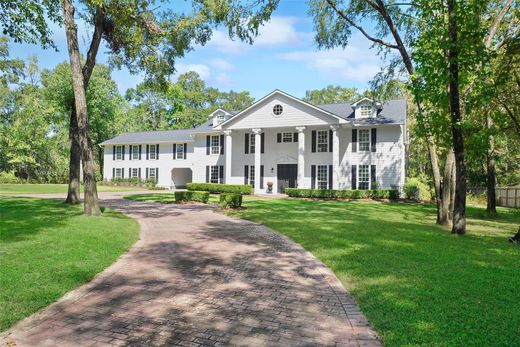 Einfamilienhaus in The Woodlands, Montgomery County