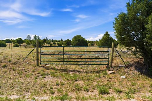 Land in Truchas, Rio Arriba County