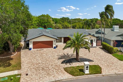 Detached House in Tampa, Hillsborough County