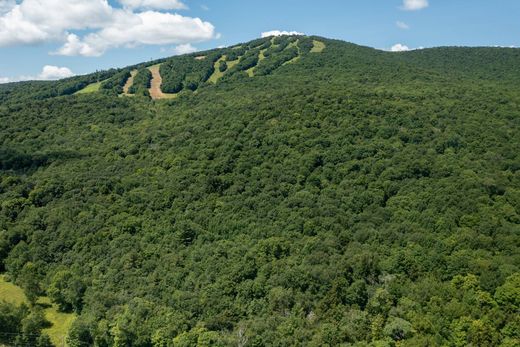 Arsa Peru, Bennington County