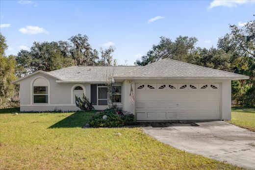 Detached House in Lady Lake, Lake County