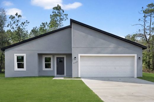 Частный Дом, Citrus Springs, Citrus County