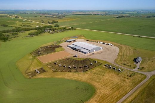 Country House in Mountain View, Alberta