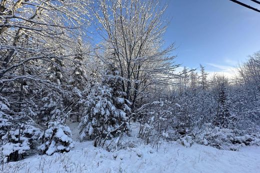 Bar Harbor, Hancock Countyの土地