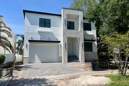 Dom jednorodzinny w Tampa, Hillsborough County