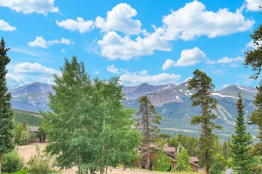 아파트 / Breckenridge, Summit County