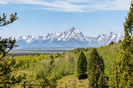 Grundstück in Moran, Teton County