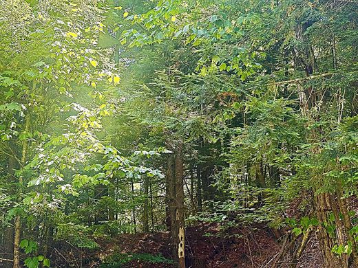 Grundstück in Schroon Lake, Essex County