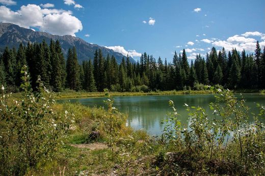 Luksusowy dom w Golden, Columbia-Shuswap Regional District