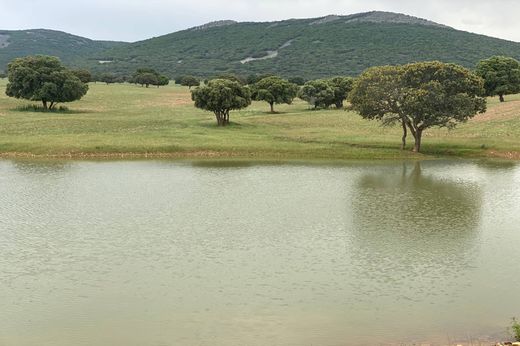 Casale a Torrelodones, Provincia de Madrid