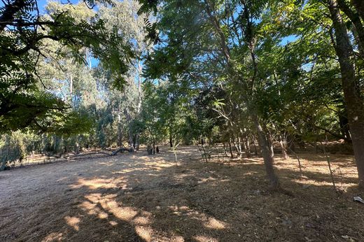 토지 / Sonoma, Sonoma County